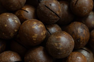 Tasarım amacı için soyulmamış macadamia fındık desenli arka plan