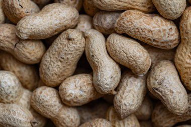 Tasarım amacıyla fıstık desenli arka plan yakın plan