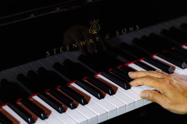 Lviv, Ukrayna - 29 Eylül 2024: Steinway and Sons siyah piyanonun logosu