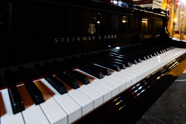Lviv, Ukrayna - 29 Eylül 2024: Steinway and Sons siyah piyanonun logosu