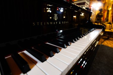 Lviv, Ukrayna - 29 Eylül 2024: Steinway and Sons siyah piyanonun logosu