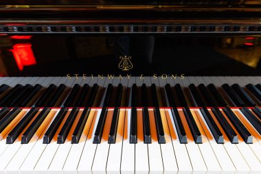 Lviv, Ukrayna - 29 Eylül 2024: Steinway and Sons siyah piyanonun logosu