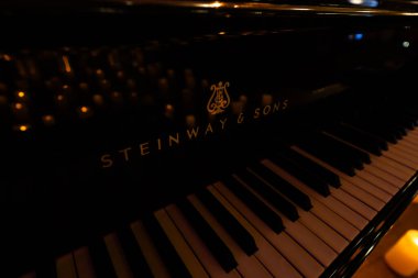 Lviv, Ukrayna - 20 Ekim 2024: Steinway Sons siyah piyanonun logosu