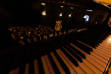 Lviv, Ukrayna - 20 Ekim 2024: Steinway Sons siyah piyanonun logosu