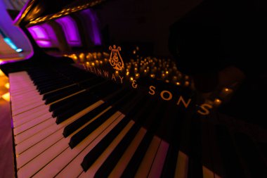 Lviv, Ukrayna - 20 Ekim 2024: Steinway Sons siyah piyanonun logosu