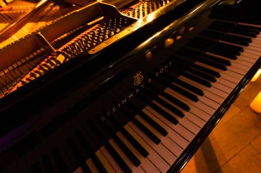 Lviv, Ukrayna - 20 Ekim 2024: Steinway Sons siyah piyanonun logosu