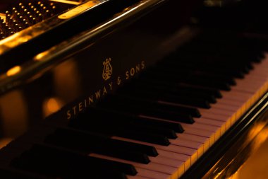 Lviv, Ukrayna - 20 Ekim 2024: Steinway Sons siyah piyanonun logosu