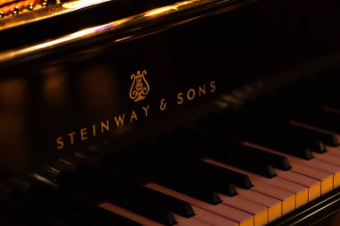 Lviv, Ukrayna - 20 Ekim 2024: Steinway Sons siyah piyanonun logosu