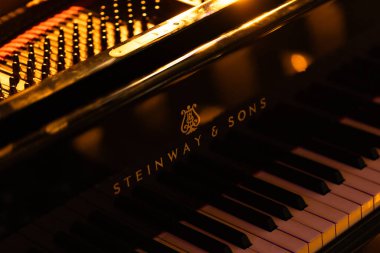 Lviv, Ukrayna - 20 Ekim 2024: Steinway Sons siyah piyanonun logosu