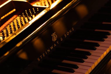Lviv, Ukrayna - 20 Ekim 2024: Steinway Sons siyah piyanonun logosu
