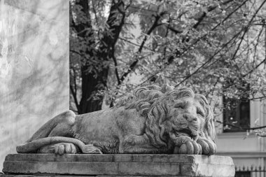 Lviv, Ukrayna 'da uyuyan aslan heykeli