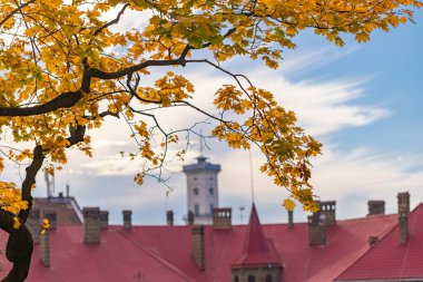 Sonbahar yaprakları boyunca Lviv 'i izle