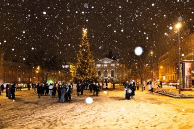 Lviv, Ukrayna - 10 Aralık 2024: Lviv Ulusal Operası yakınlarındaki Noel ağacı