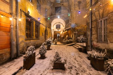 Lviv, Ukrayna - 10 Aralık 2024: Kışın Lviv Caddesi