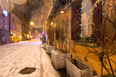 Lviv, Ukrayna - 10 Aralık 2024: Kışın Lviv Caddesi