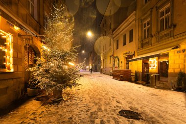 Lviv, Ukrayna - 10 Aralık 2024: Kışın Lviv Caddesi
