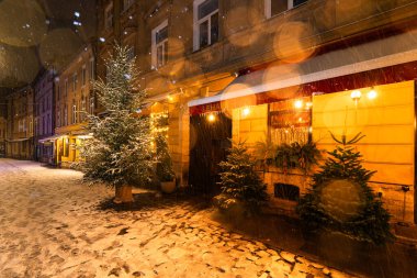 Lviv, Ukrayna - 10 Aralık 2024: Kışın Lviv Caddesi