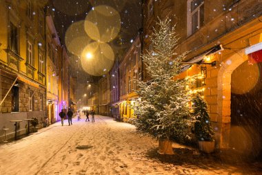 Lviv, Ukrayna - 10 Aralık 2024: Kışın Lviv Caddesi