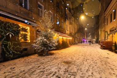 Lviv, Ukrayna - 10 Aralık 2024: Kışın Lviv Caddesi