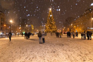Lviv, Ukrayna - 10 Aralık 2024: Lviv Ulusal Operası yakınlarındaki Noel ağacı