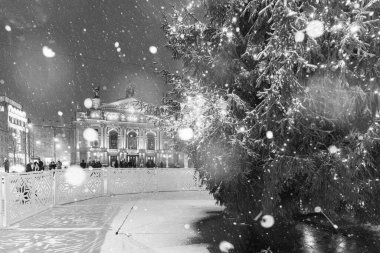 Lviv, Ukraine - December 10, 2024: Christmas tree near Lviv National Opera clipart