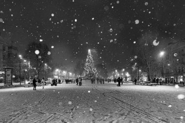 Lviv, Ukrayna - 10 Aralık 2024: Lviv Ulusal Operası yakınlarındaki Noel ağacı
