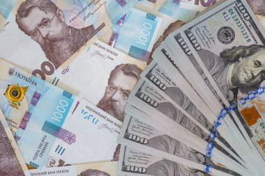 Tasarım amaçlı 100 dolar ve 1000 hryvnia banknotları