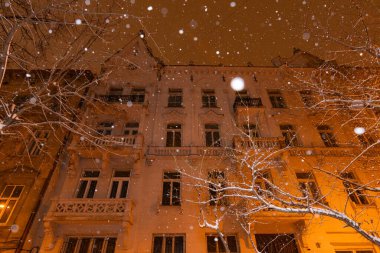 Lviv, Ukrayna - 12 Ocak 2025: Kışın Lviv Caddesi