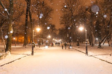Gece vakti Lviv Park