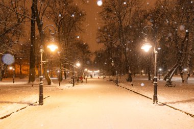 Gece vakti Lviv Park