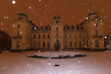 Lviv, Ukraine - January 12, 2025: Potocki palace in Lviv in winter clipart