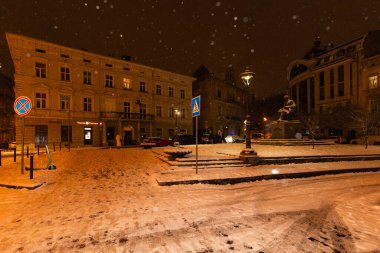 Lviv, Ukrayna - 12 Ocak 2025: Lviv 'deki Mykhailo Hruşevsky Anıtı