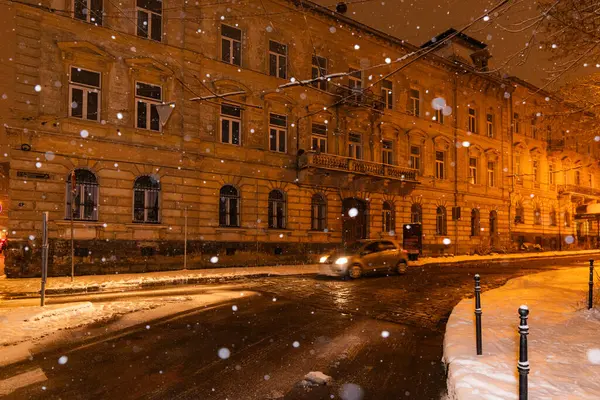 Lviv, Ukrayna - 12 Ocak 2025: Kışın Lviv Caddesi