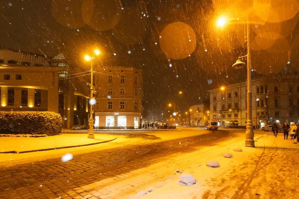 Lviv, Ukrayna - 12 Ocak 2025: Kışın Lviv Caddesi