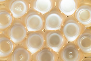 Tasarım amacı için altın desenli arkaplan