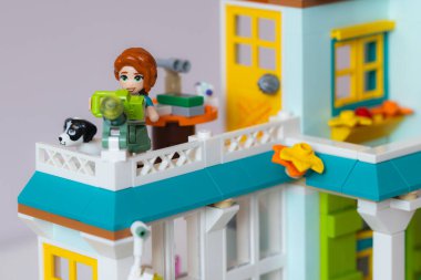 Lviv, Ukrayna - 10 Şubat 2025: LEGO Dost