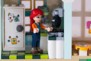 Lviv, Ukrayna - 10 Şubat 2025: LEGO Dost