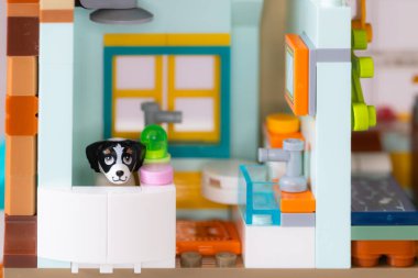 Lviv, Ukrayna - 10 Şubat 2025: LEGO Dost