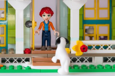 Lviv, Ukrayna - 10 Şubat 2025: LEGO Dost