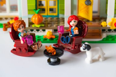 Lviv, Ukrayna - 10 Şubat 2025: LEGO Dost