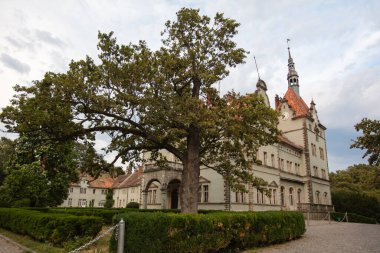 Chynadiyevo, Ukrayna - 21 Ağustos 2024: Schonborn Şatosu Karpatlar, Ukrayna