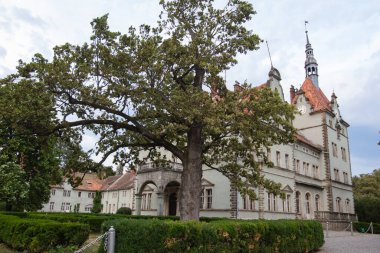 Chynadiyevo, Ukrayna - 21 Ağustos 2024: Schonborn Şatosu Karpatlar, Ukrayna