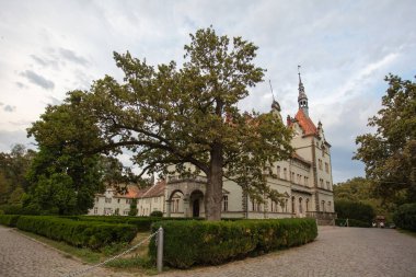 Chynadiyevo, Ukrayna - 21 Ağustos 2024: Schonborn Şatosu Karpatlar, Ukrayna