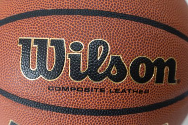Lviv, Ukrayna - 8 Nisan 2025: Wilson Reaction PRO basketbol