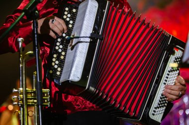 Kırmızı Gömlekli Müzisyen Parlak Kırmızı Akordeon Çalıyor
