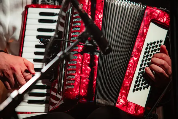 Kırmızı Akordiyon Çalan Bir Müzisyenin Yakın Çekimi