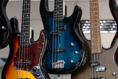 Electric Bass Gitarları, Müzik Enstrümanları Sunumu
