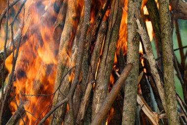Yüksek Şenlik Ateşi, Ateşli Gece Sahnesi