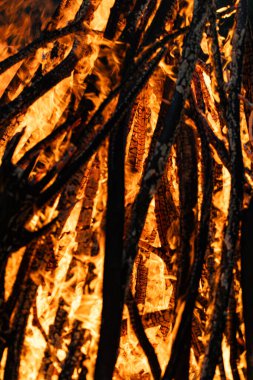 Yanan Orman, Kamp Ateşi, Canlı Alevler, Yakın plan