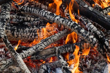 Yanan Orman, Kamp Ateşi, Canlı Alevler, Yakın plan